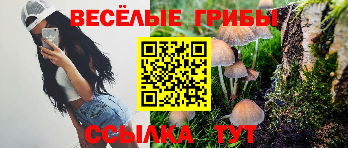 Галлюциногенные грибы MAGIC MUSHROOMS  Вход с VPN  наркотики  Моршанск 